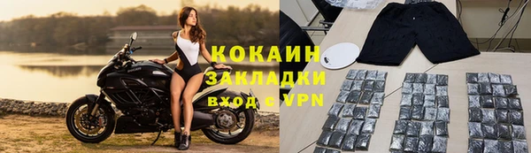 прущие грибы Баксан