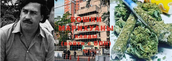 трава Балахна