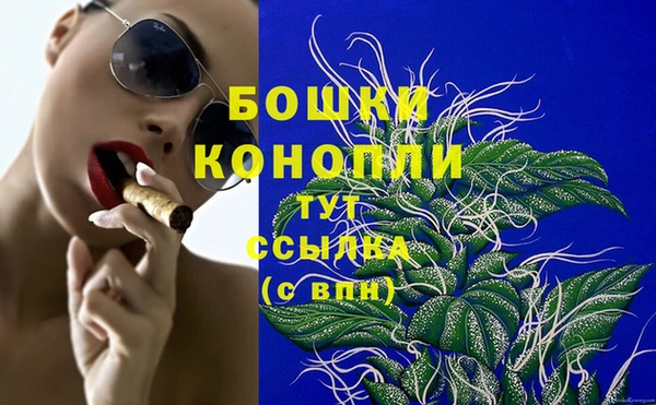 прущие грибы Баксан