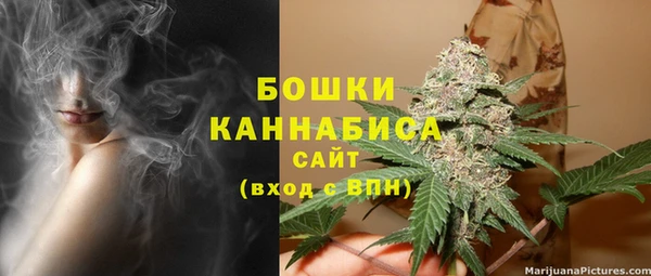 прущие грибы Баксан