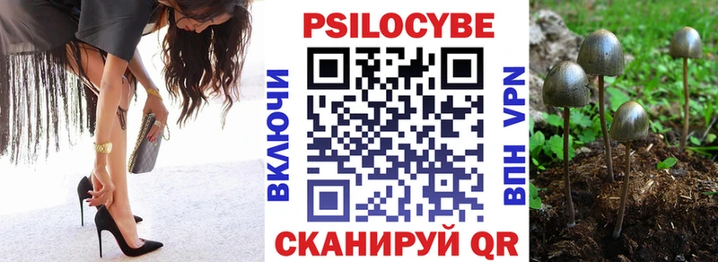 Галлюциногенные грибы Cubensis Вятские Поляны